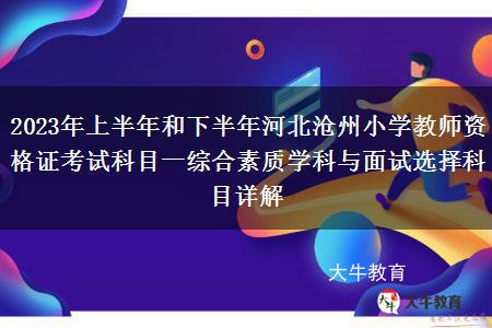 2023年上半年和下半年河北沧州小学教师资格证考试科目一综合素质学科与面试选择科目详解